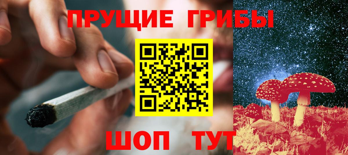ГАШ Выборг