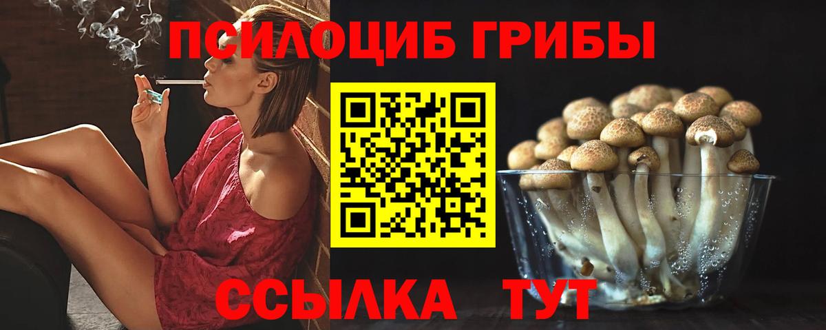 Выборг  Галлюциногенные грибы Magic Shrooms  Вход с VPN 